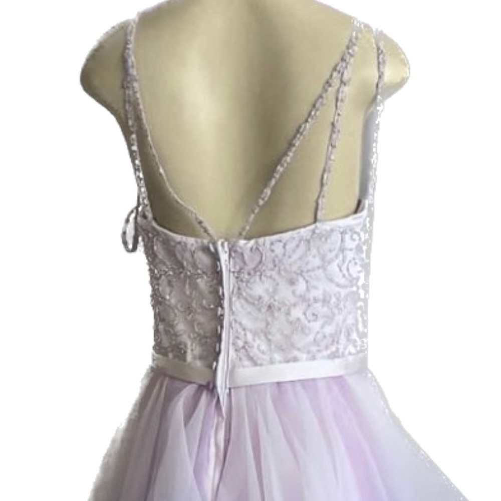 David’s Bridal Garza Wedding Dress - Picture 6 of 15